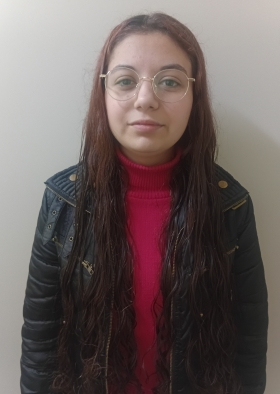 SOFHIA DE ARAUJO SILVEIRA